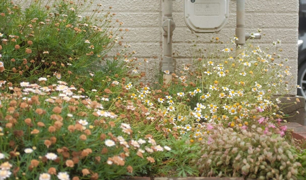 Rendi SMART il tuo vecchio Contatore del GAS con Home Assistant